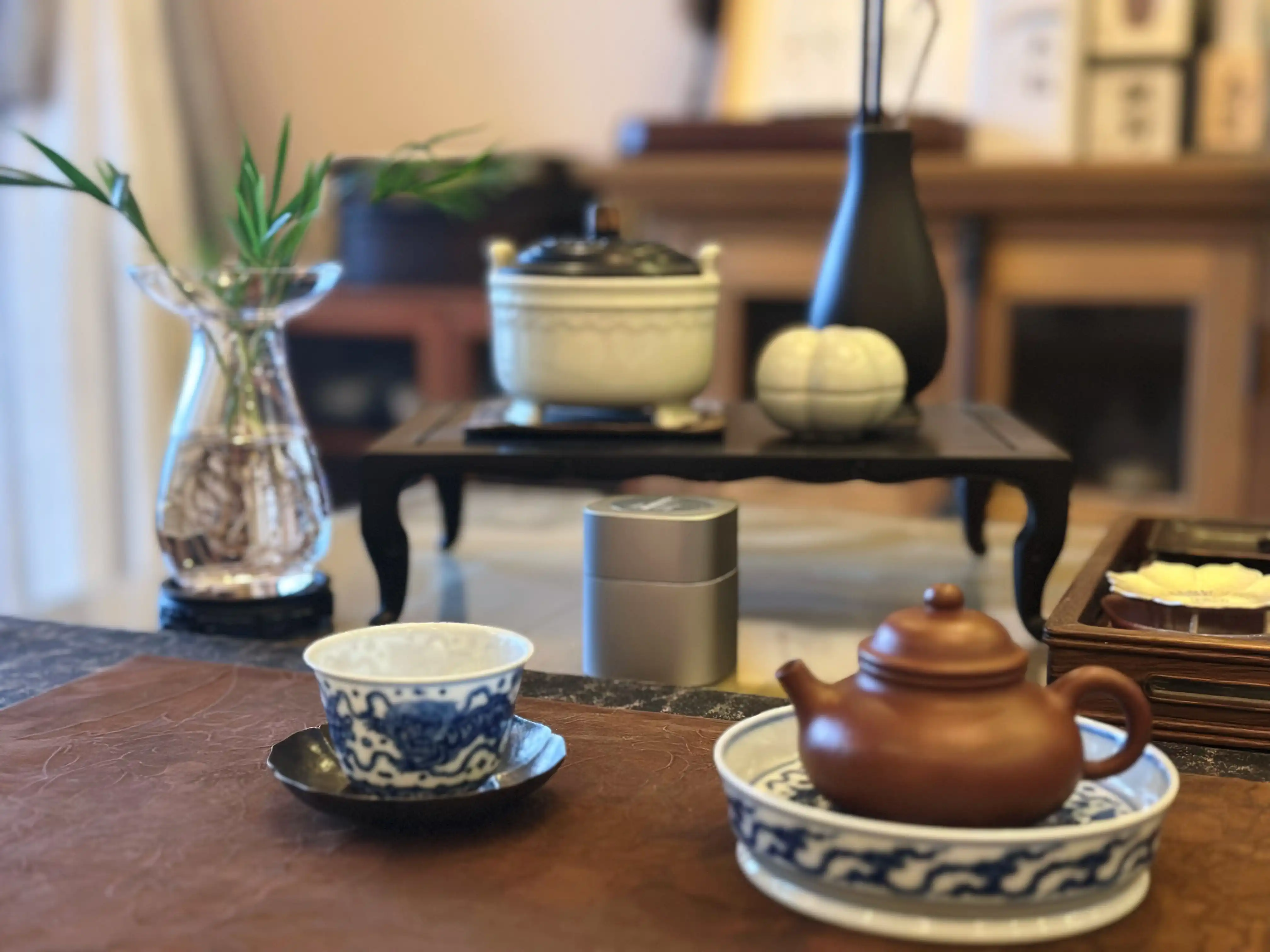 安吉白茶为什么氨基酸含量高