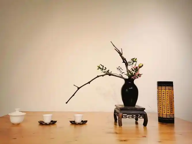 GB/T 18957-2008 地理标志产品 洞庭（山）碧螺春茶