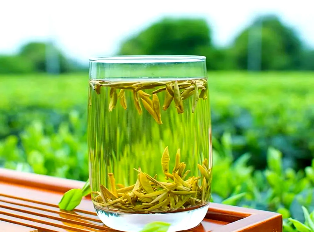 黄茶到底啥味道？喝过的人都说像 “炖青菜”，冲泡还不用怕烫