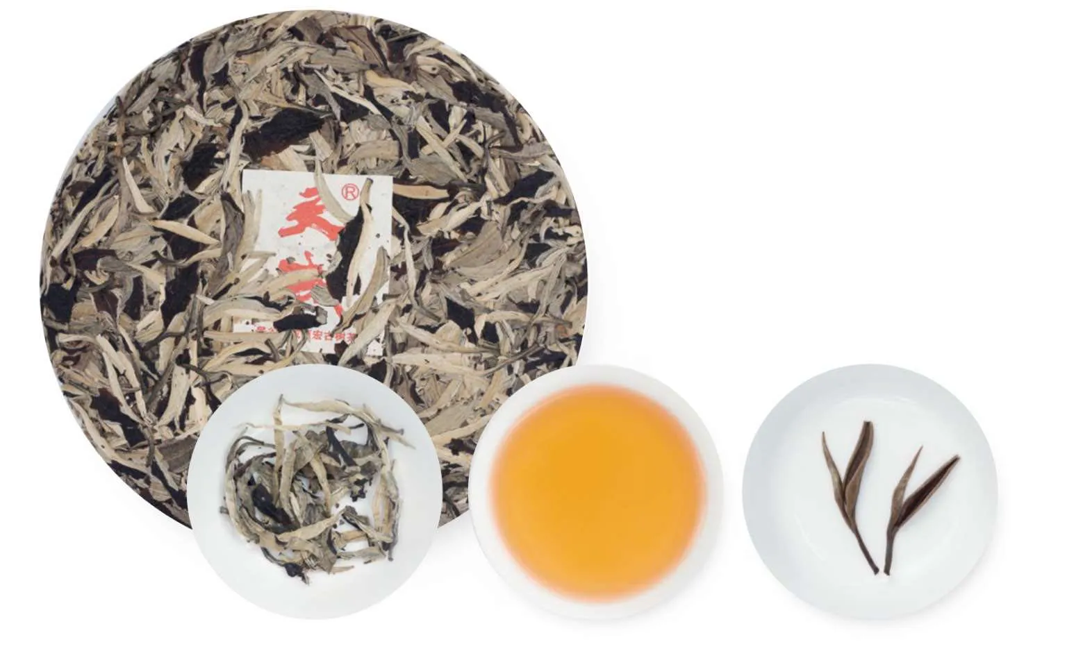 月光白茶工艺制作过程