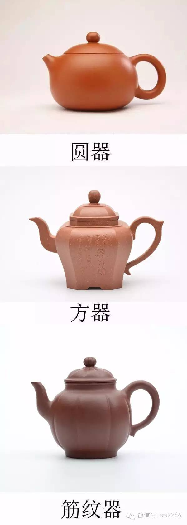 茶叶图片