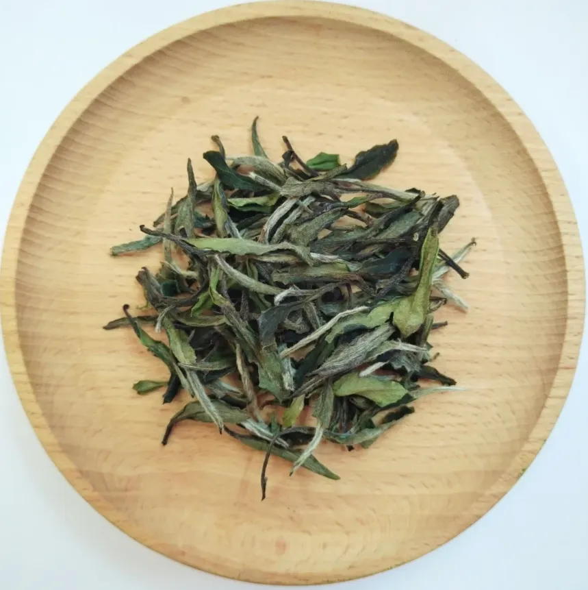 别再忽略白茶！3 大门派 + 散茶饼茶区别，一篇搞懂