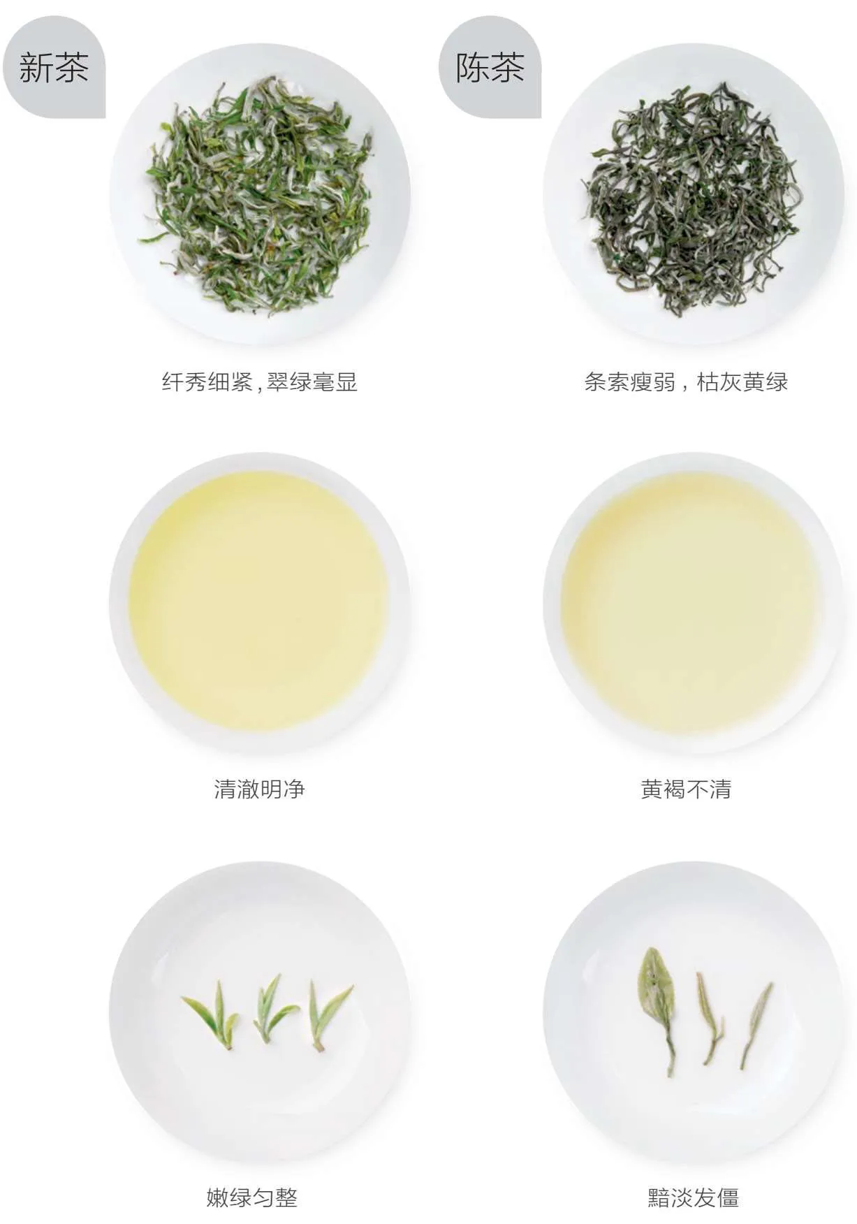 惠明茶