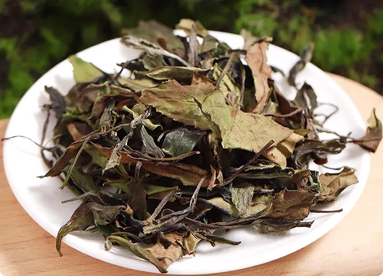 “白茶”的名字由何而来？