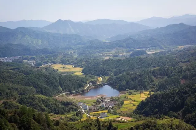 祁门工夫，它让欧洲贵族疯狂，却常被中国人误解
