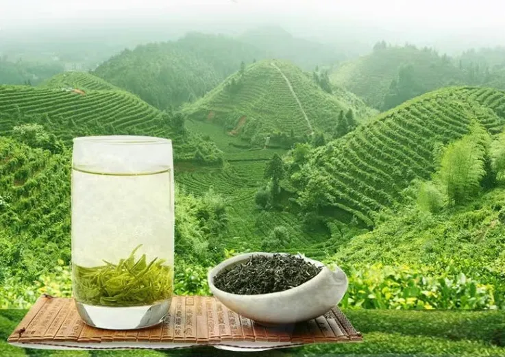 用现代诗与书，打开武夷岩茶茶树品种的另一扇门