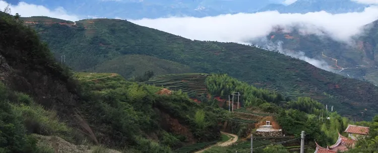 都说冰岛有冰糖甜韵，难道它就没有苦味吗？