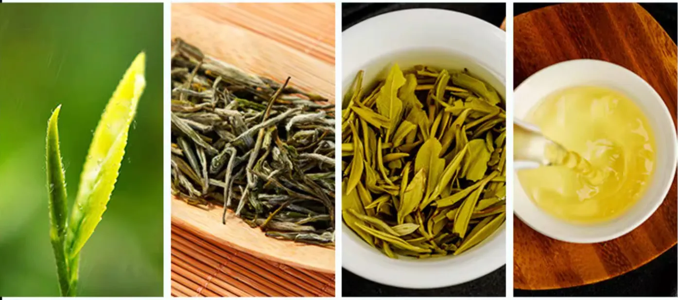茶叶图片