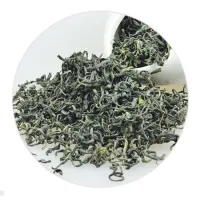 ​​崂山绿茶​​