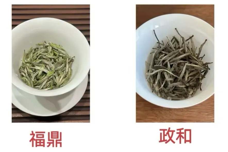 茶叶图片