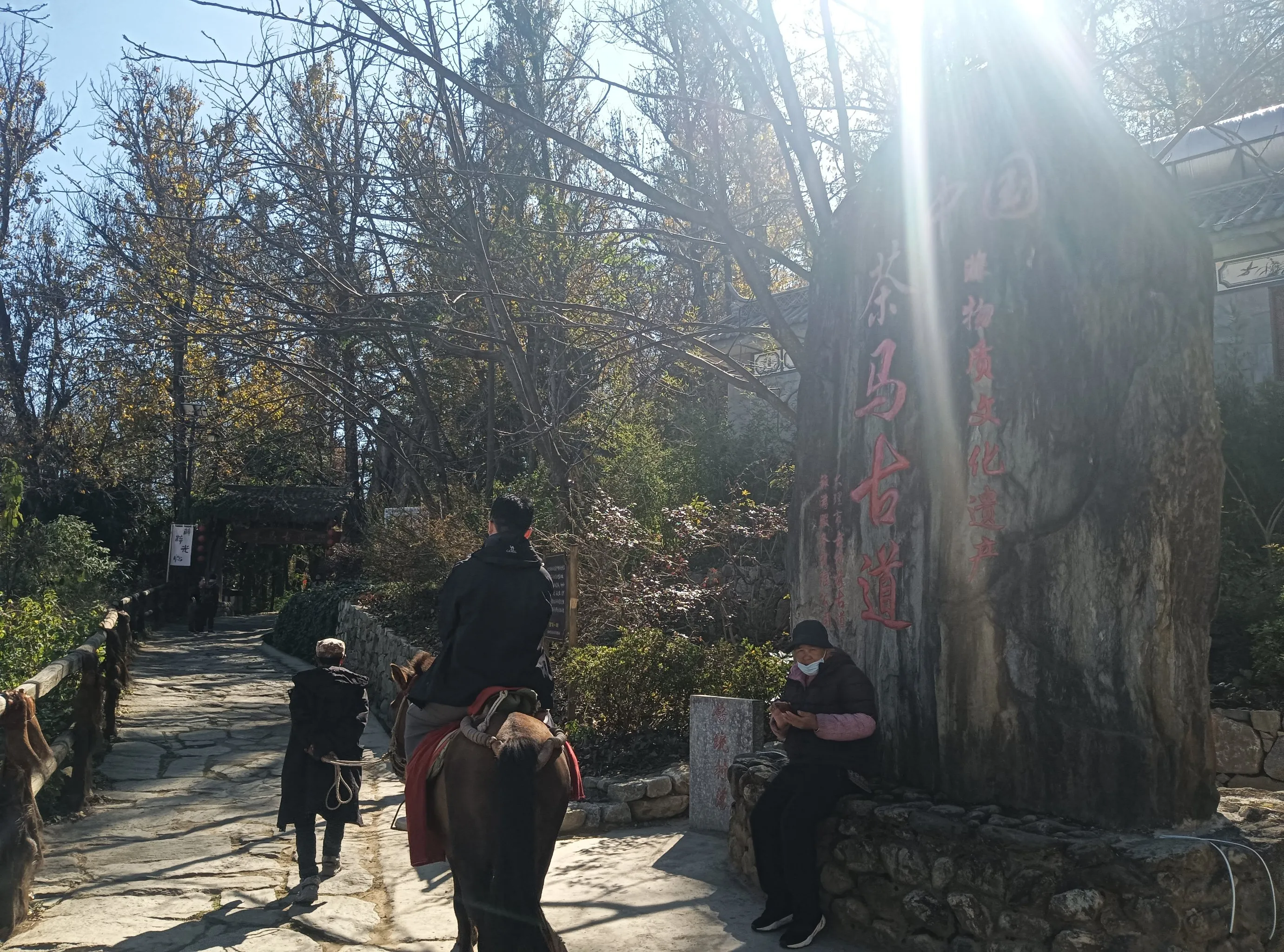 陕西泾渭茯茶：丝绸之路上的 "金花秘茶"，600 年工艺不变的硬核黑茶