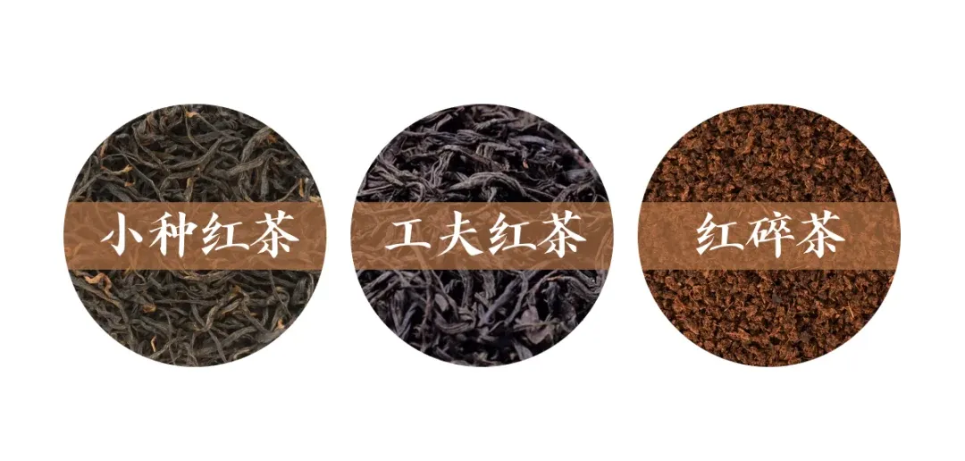 红茶种类多到绕晕？记住这 3 大类，买茶再也不被忽悠