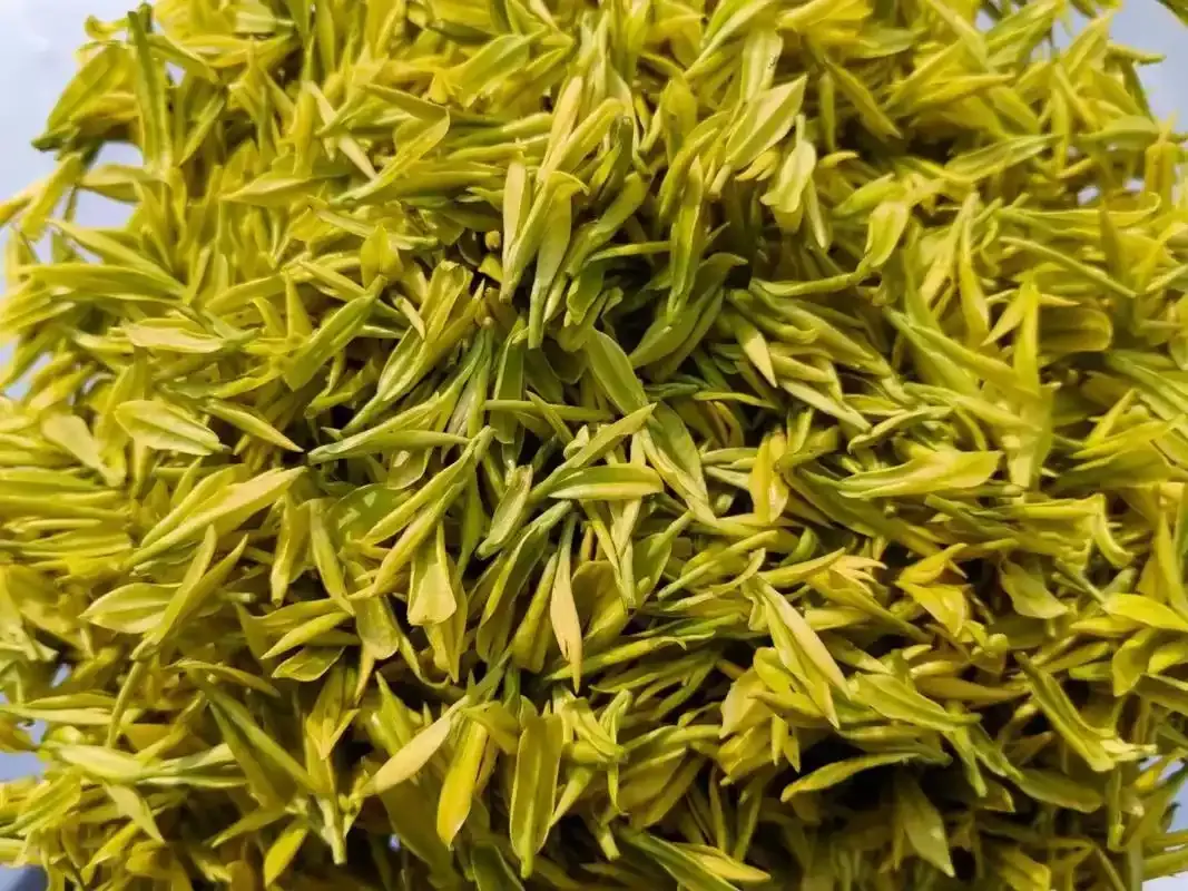 黄茶快没了？这几种现存的黄茶，认识 3 种就算懂行