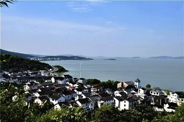 碧螺春：这款让康熙“赐名”的江南美人，为何比龙井还难喝到？