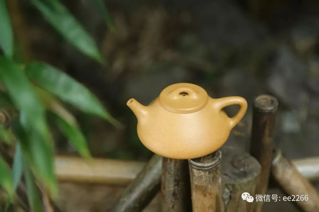 教您品饮武夷岩茶