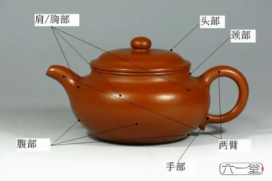 茶叶图片