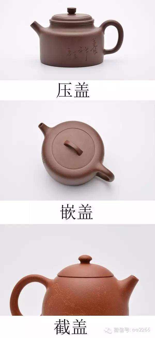 茶叶图片