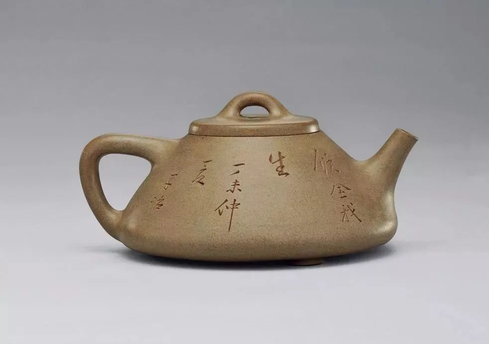 一杯白茶，品阳光和自然的味道